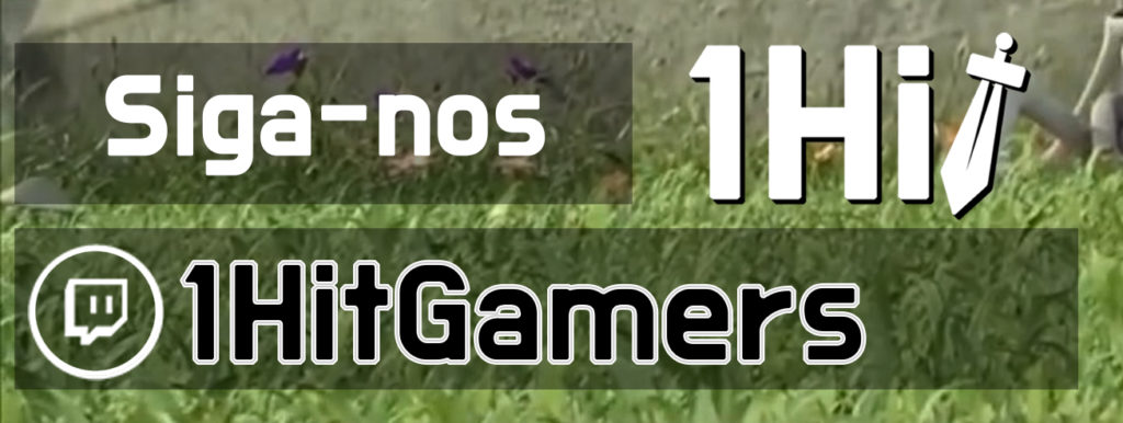 Siga nosso canal na Twitch!